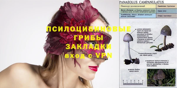 spice Балахна