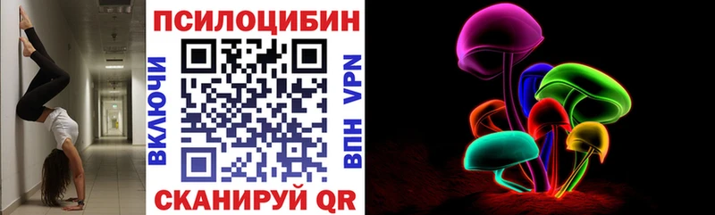 Псилоцибиновые грибы Psilocybe Полесск